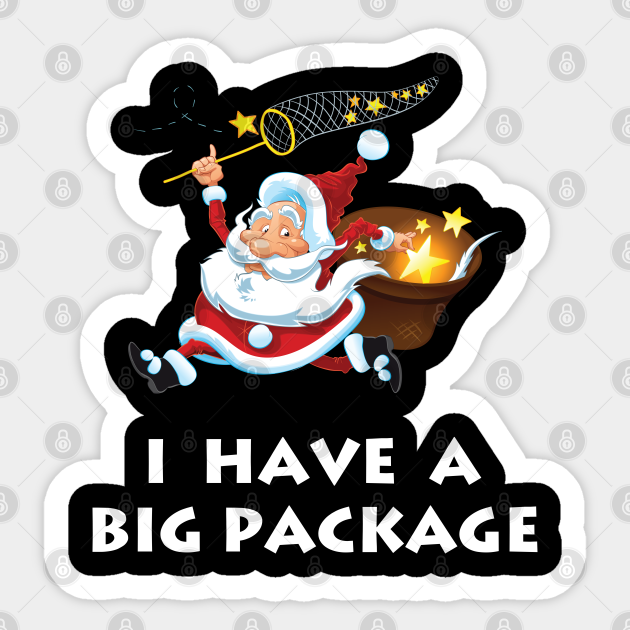 Funny Santa Christmas Ornament Xmas Holiday Gift Funny Santa